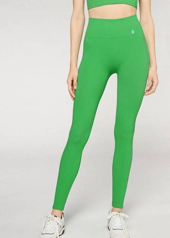 Leggings Calzedonia Fine Com Nervuras Seamless Esportivos Feminino Verdes | PT1539IS