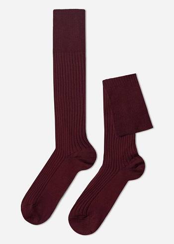 Meias Calzedonia Lisle Thread Com Nervuras Long Masculino Bordeaux | PT1438AP